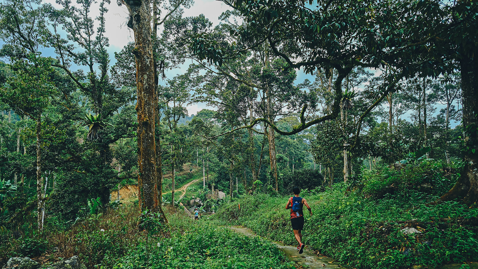 Coureurs sur le parcours forestier du MY100 du Malaysia Ultra-Trail by UTMB
