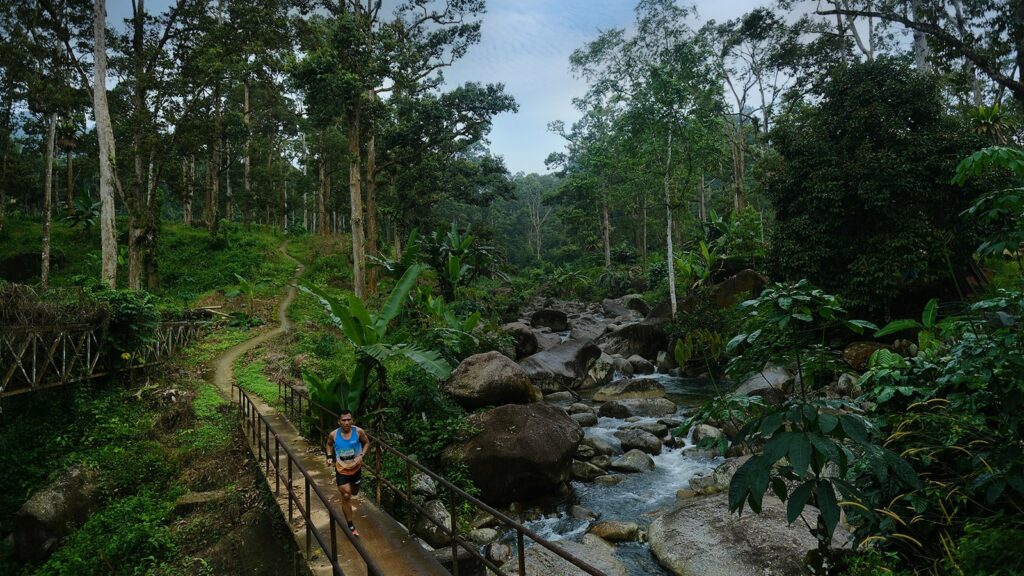 Malaysia Ultra-Trail by UTMB 2026 : quatre courses et un nouveau défi vertical