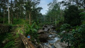 Malaysia Ultra-Trail by UTMB 2026 : quatre courses et un nouveau défi vertical